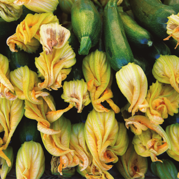 Prelievo e campionamento